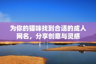 为你的猫咪找到合适的成人网名，分享创意与灵感