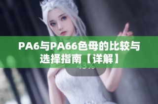 PA6与PA66色母的比较与选择指南【详解】