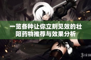 一览各种让你立刻见效的壮阳药物推荐与效果分析