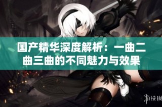 国产精华深度解析：一曲二曲三曲的不同魅力与效果