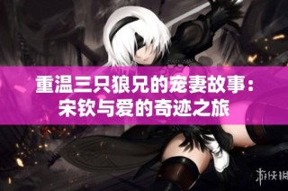 重温三只狼兄的宠妻故事：宋钦与爱的奇迹之旅