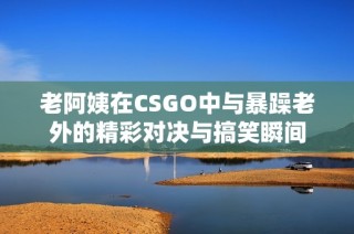 老阿姨在CSGO中与暴躁老外的精彩对决与搞笑瞬间