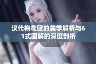 汉代梅花赋的美学解析与61式图解的深度剖析