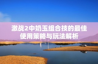 激战2中奶玉组合技的最佳使用策略与玩法解析