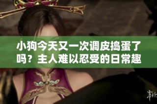 小狗今天又一次调皮捣蛋了吗？主人难以忍受的日常趣事