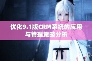 优化9.1版CRM系统的应用与管理策略分析