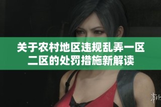 关于农村地区违规乱弄一区二区的处罚措施新解读