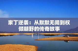家丁逆袭：从默默无闻到权倾朝野的传奇故事