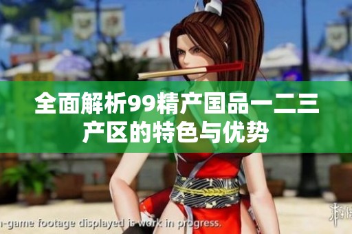 全面解析99精产国品一二三产区的特色与优势