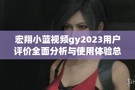 宏翔小蓝视频gy2023用户评价全面分析与使用体验总结