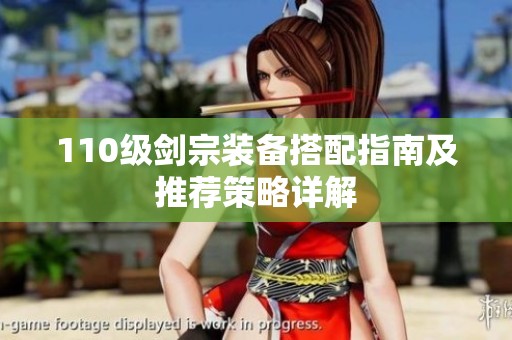 110级剑宗装备搭配指南及推荐策略详解