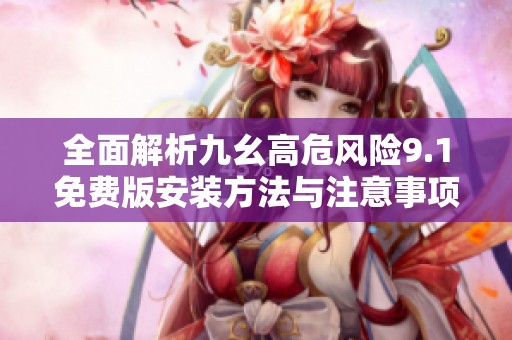 全面解析九幺高危风险9.1免费版安装方法与注意事项
