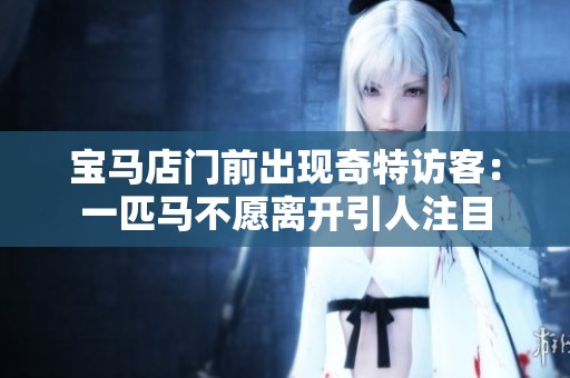 宝马店门前出现奇特访客：一匹马不愿离开引人注目