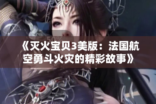 《灭火宝贝3美版：法国航空勇斗火灾的精彩故事》