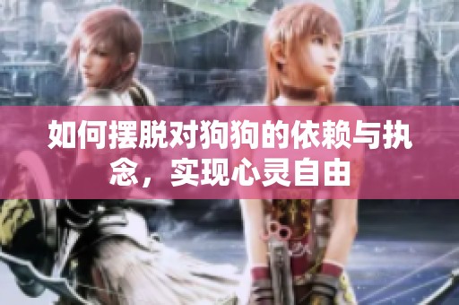 如何摆脱对狗狗的依赖与执念，实现心灵自由