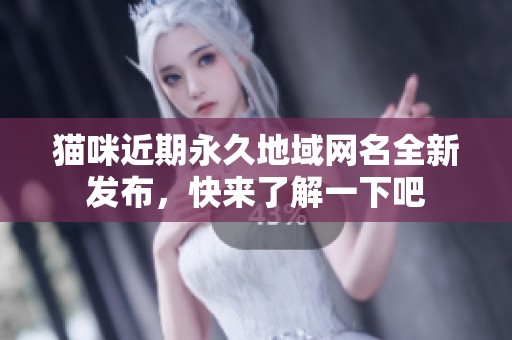 猫咪近期永久地域网名全新发布，快来了解一下吧