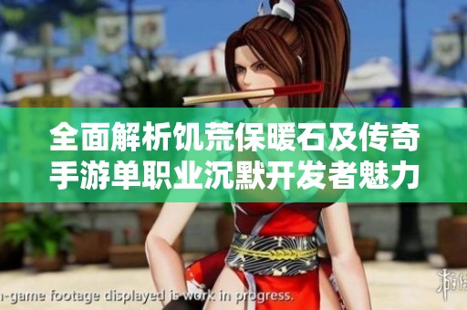 全面解析饥荒保暖石及传奇手游单职业沉默开发者魅力