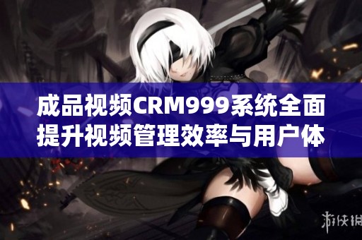 成品视频CRM999系统全面提升视频管理效率与用户体验