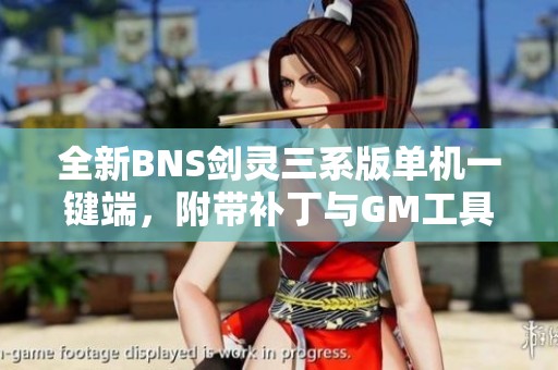 全新BNS剑灵三系版单机一键端，附带补丁与GM工具下载