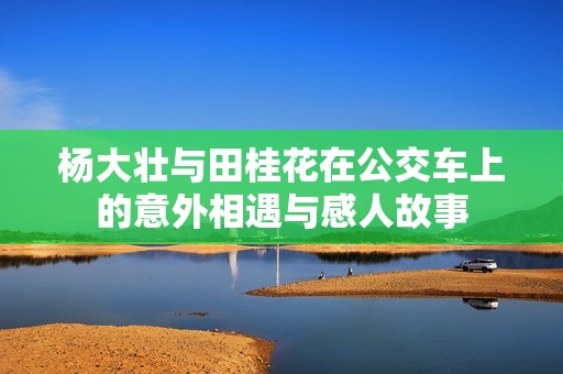 杨大壮与田桂花在公交车上的意外相遇与感人故事