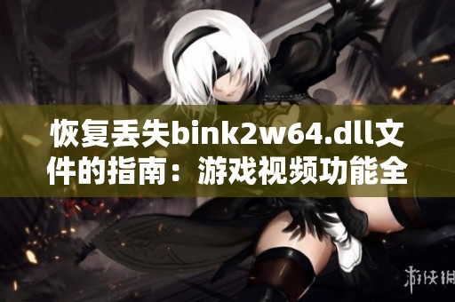 恢复丢失bink2w64.dll文件的指南：游戏视频功能全面修复方法