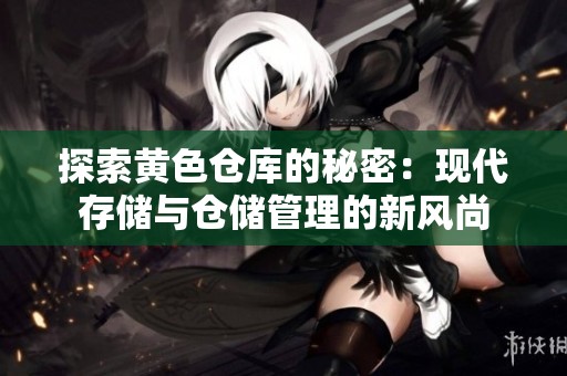 探索黄色仓库的秘密：现代存储与仓储管理的新风尚