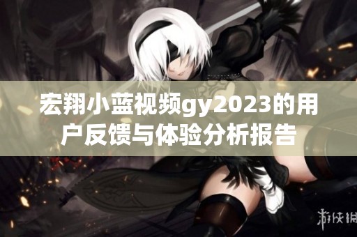 宏翔小蓝视频gy2023的用户反馈与体验分析报告