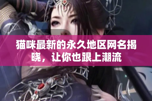 猫咪最新的永久地区网名揭晓，让你也跟上潮流