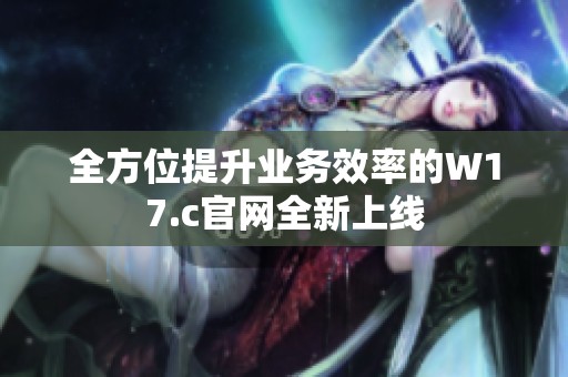 全方位提升业务效率的W17.c官网全新上线