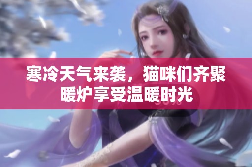 寒冷天气来袭，猫咪们齐聚暖炉享受温暖时光