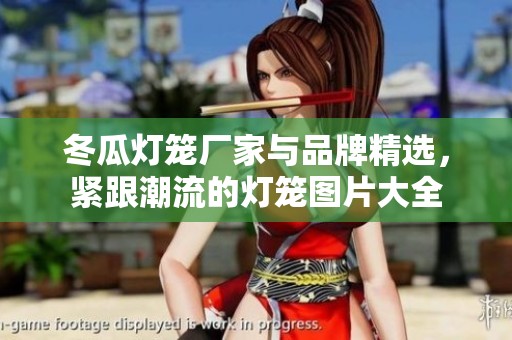 冬瓜灯笼厂家与品牌精选，紧跟潮流的灯笼图片大全