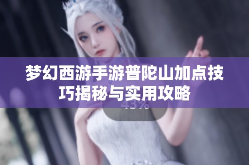 梦幻西游手游普陀山加点技巧揭秘与实用攻略