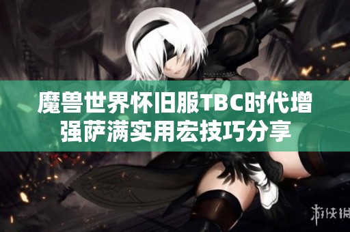 魔兽世界怀旧服TBC时代增强萨满实用宏技巧分享