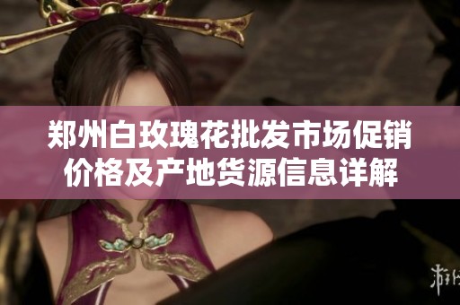 郑州白玫瑰花批发市场促销价格及产地货源信息详解