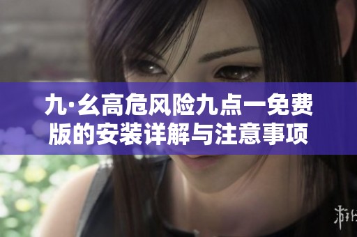 九·幺高危风险九点一免费版的安装详解与注意事项