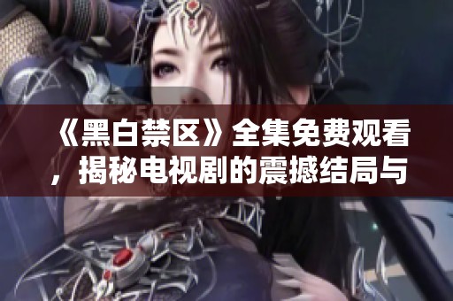 《黑白禁区》全集免费观看，揭秘电视剧的震撼结局与深刻主题