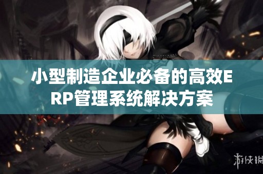 小型制造企业必备的高效ERP管理系统解决方案