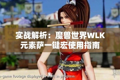 实战解析：魔兽世界WLK元素萨一键宏使用指南