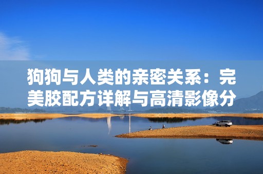狗狗与人类的亲密关系：完美胶配方详解与高清影像分享