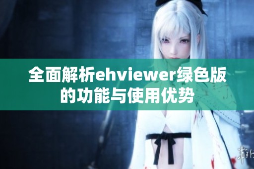 全面解析ehviewer绿色版的功能与使用优势