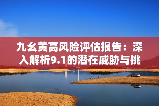 九幺黄高风险评估报告：深入解析9.1的潜在威胁与挑战