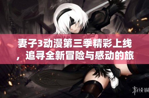 妻子3动漫第三季精彩上线，追寻全新冒险与感动的旅程
