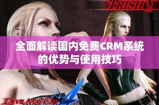 全面解读国内免费CRM系统的优势与使用技巧