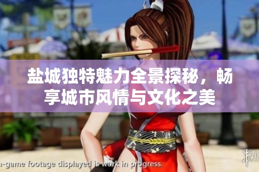 盐城独特魅力全景探秘，畅享城市风情与文化之美