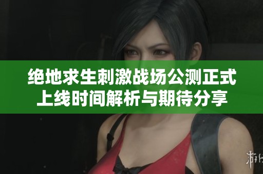 绝地求生刺激战场公测正式上线时间解析与期待分享