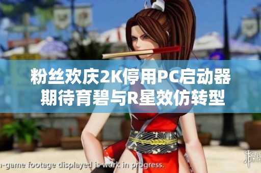 粉丝欢庆2K停用PC启动器 期待育碧与R星效仿转型