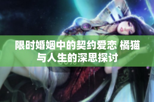 限时婚姻中的契约爱恋 橘猫与人生的深思探讨