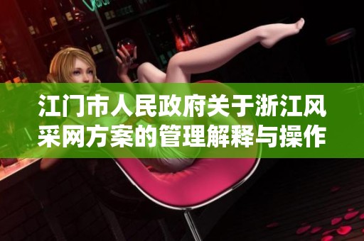 江门市人民政府关于浙江风采网方案的管理解释与操作系统实施指导