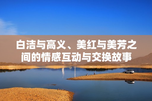 白洁与高义、美红与美芳之间的情感互动与交换故事