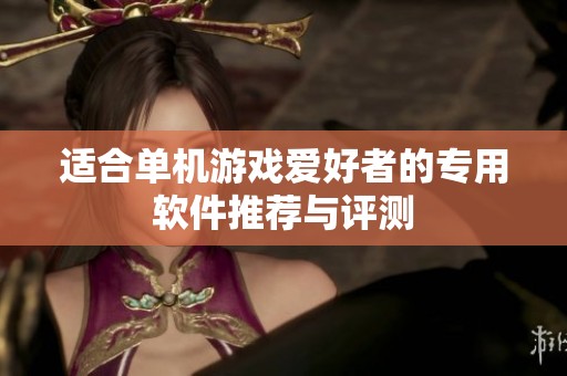 适合单机游戏爱好者的专用软件推荐与评测